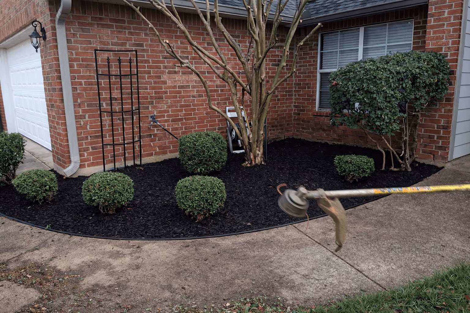 Side-by-side comparison of a backyard before and after lawn renovation, showing patchy and sparse grass on the left and lush, green grass on the right.